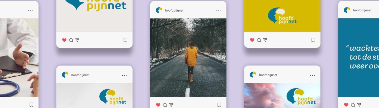 nieuwe website huisstijl hoofdpijnnet